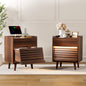 WOWLIVE Wooden Nightstand with 2 Drawers, Modern Bedside Table with Outlets & LED Lights, File Cabinet